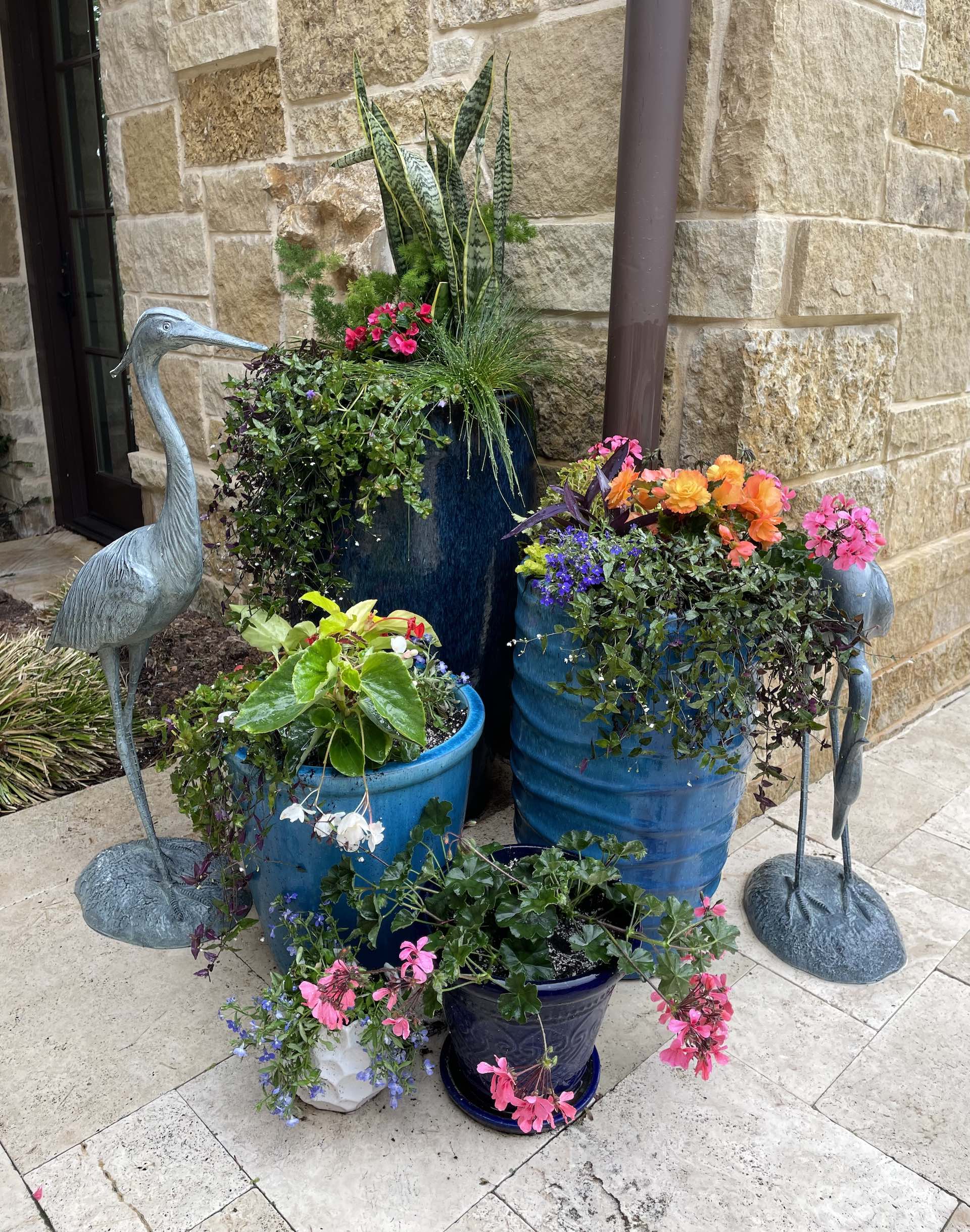 Entry container planting with seasonal flowers at a Fayetteville home
