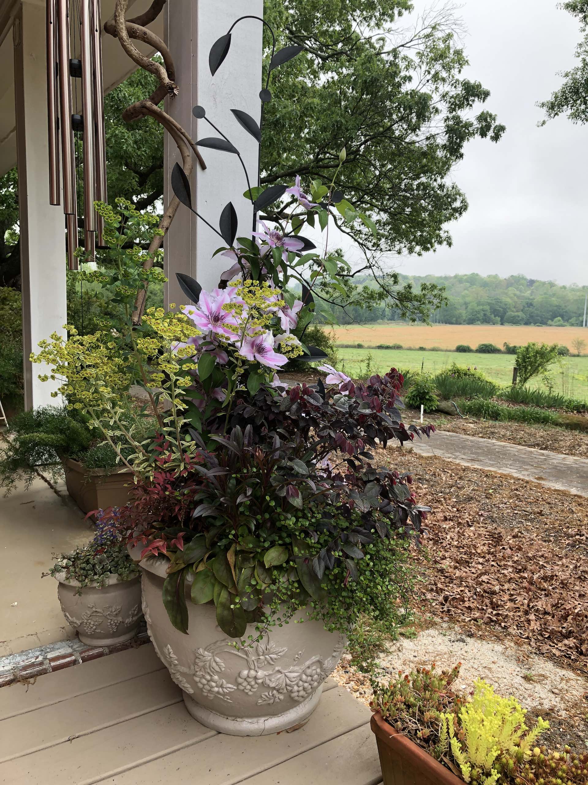 Commercial entrance landscaping with seasonal color in Newnan