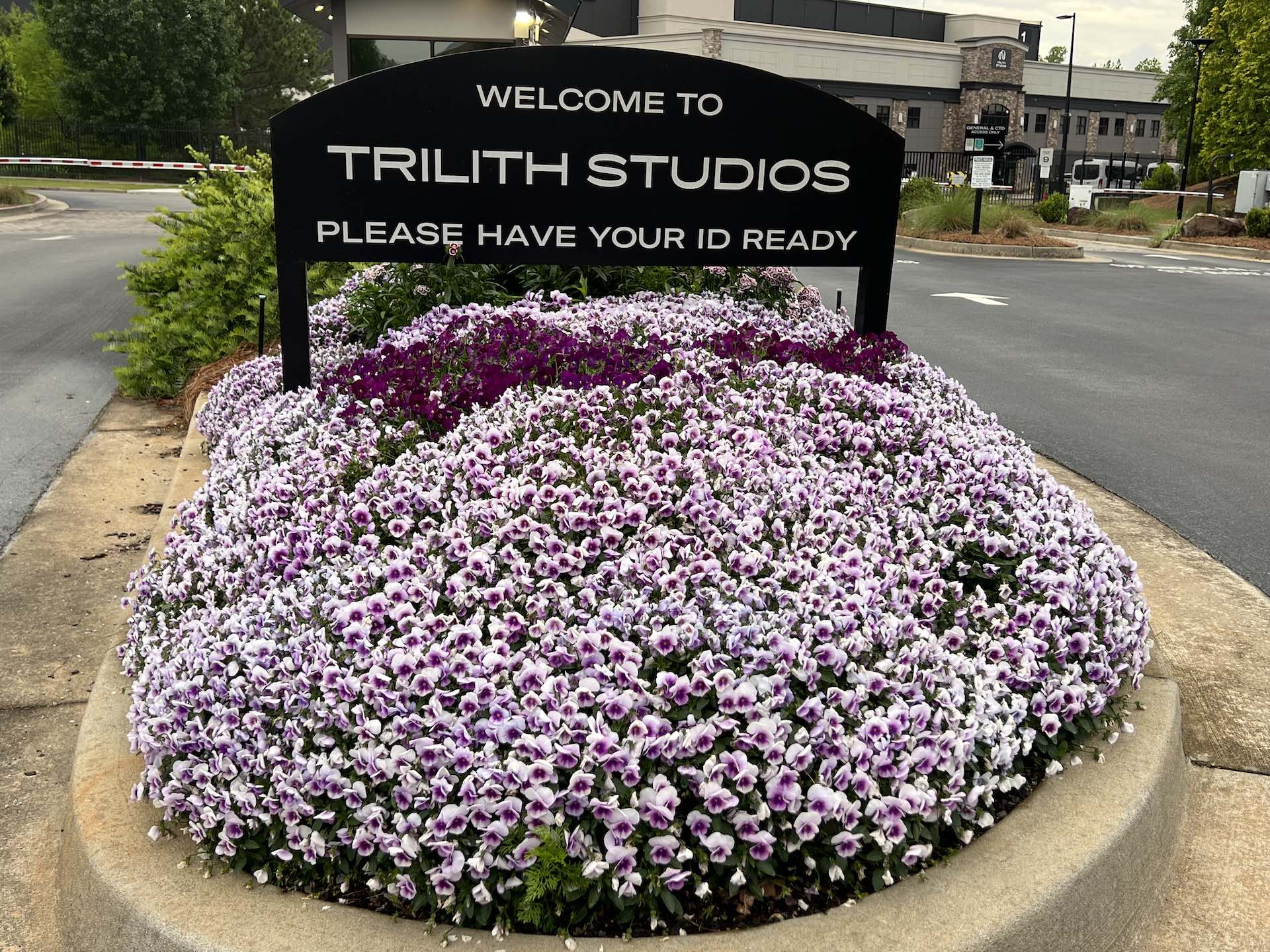 Seasonal container plantings beside a residential pool in Peachtree City