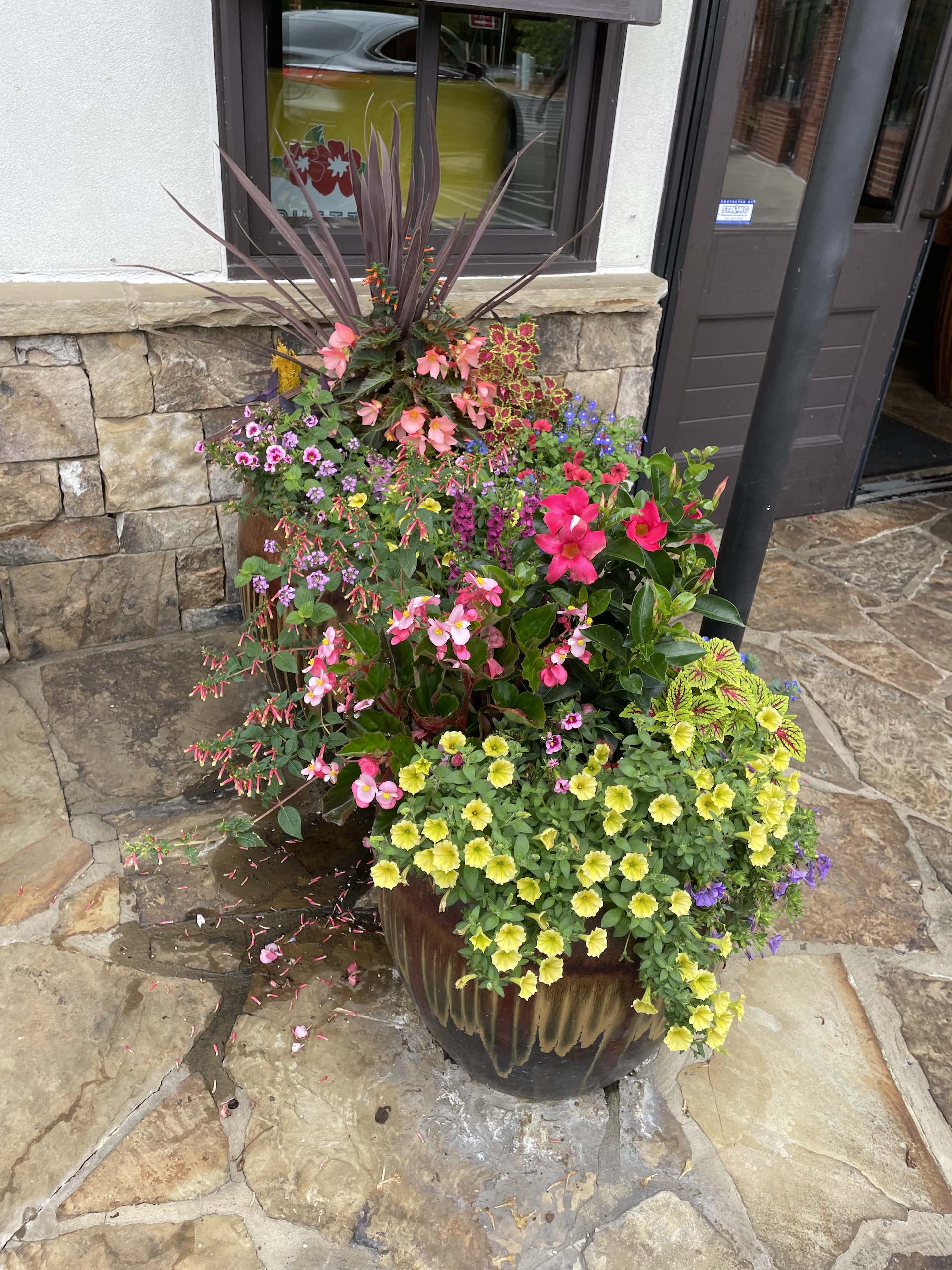 Residential garden design with native plantings in Senoia