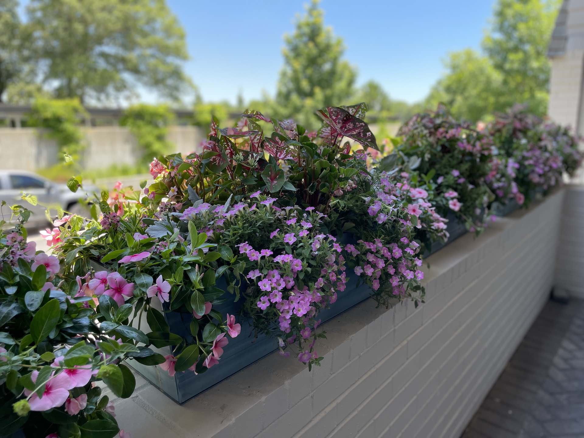Custom landscape design with layered plantings in Fayette County, Georgia
