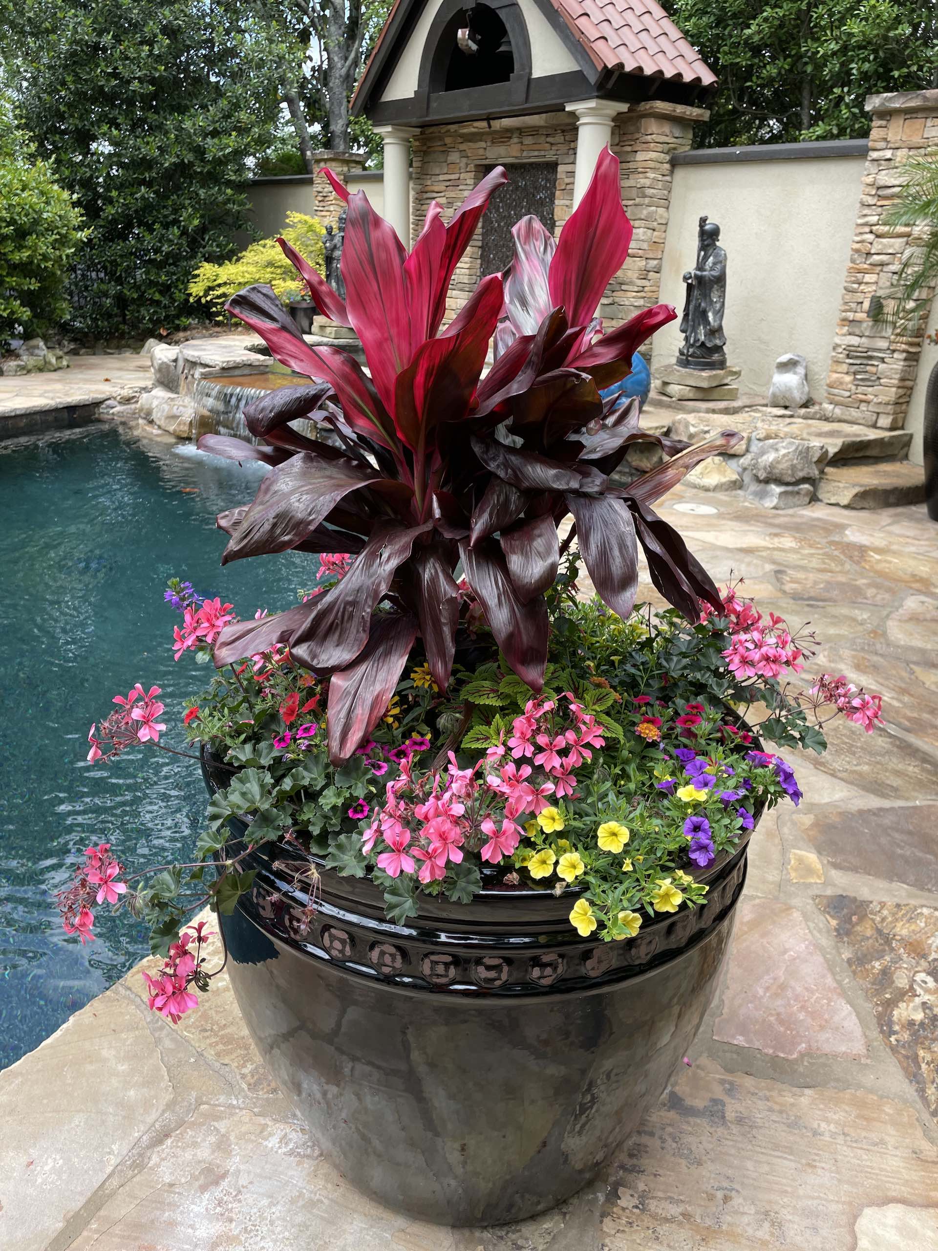 Outdoor landscape lighting installation in Fayetteville, Georgia